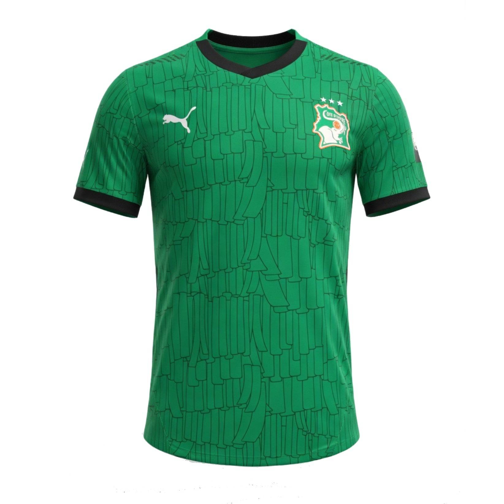 Men's Ivory Coast 2025/26 Green Jersey