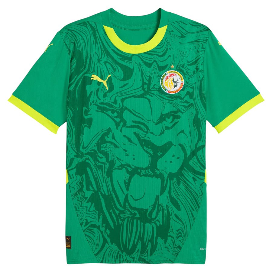 Men's Senegal 2025/26 Away Jersey