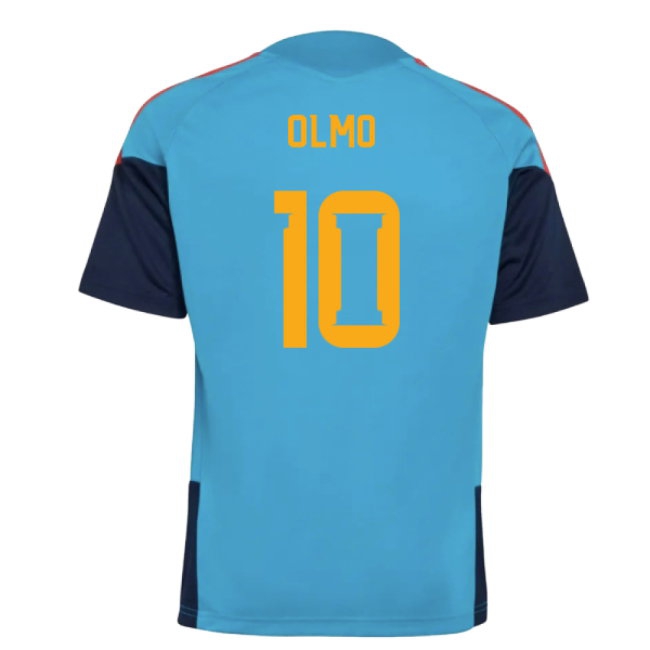 Men's Trainings Spain 2025 Aqua Training Jersey