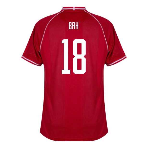 Kids' Denmark 2026/27 Home Jersey