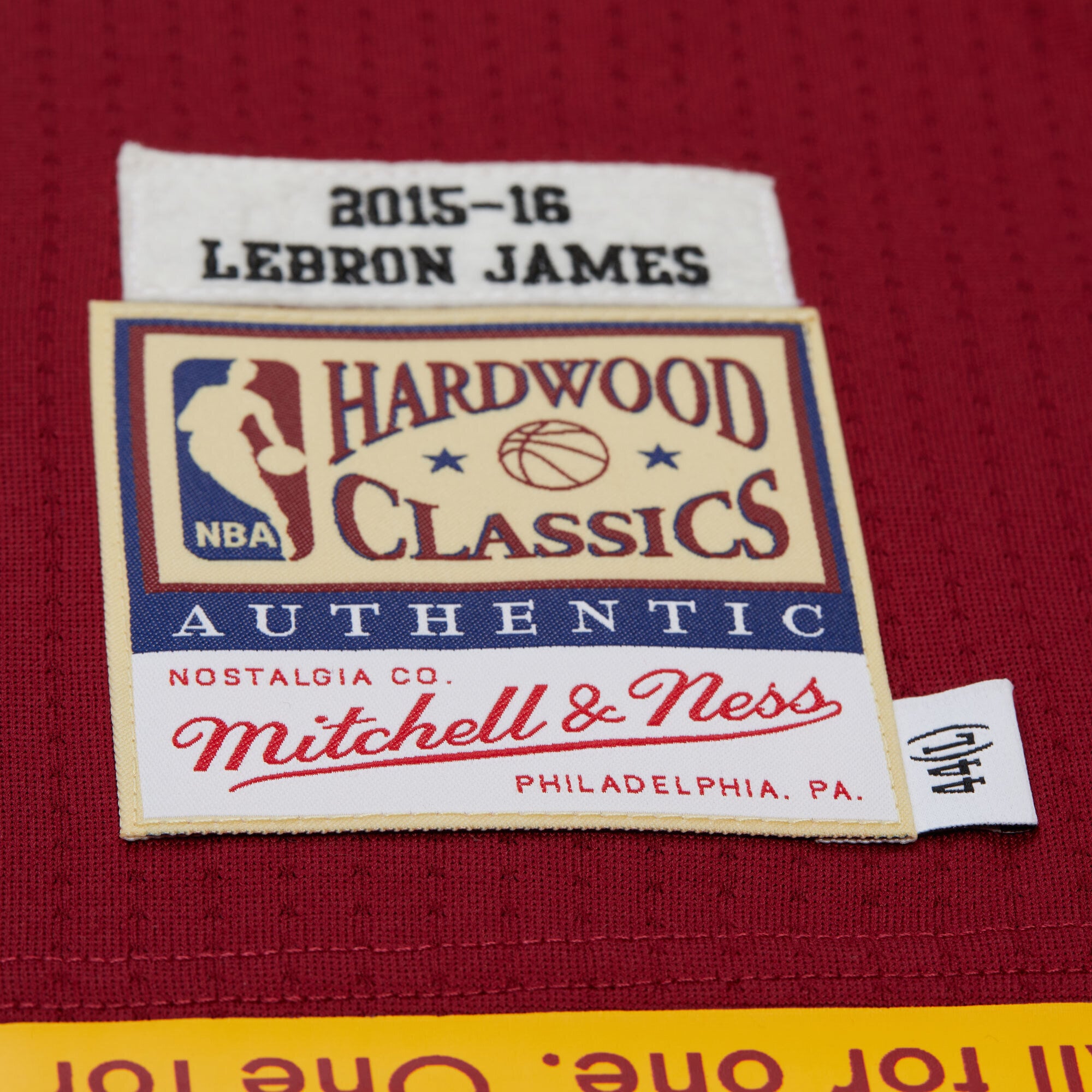 LeBron James Cleveland Cavaliers Basketball Jersey - Youth