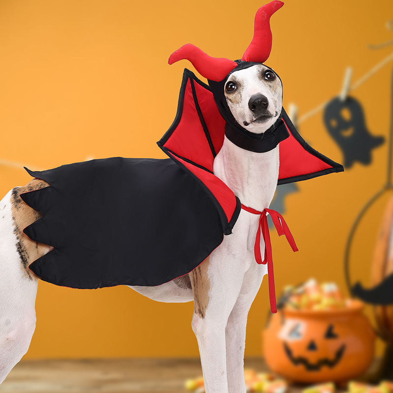 Black pet vampire cloak and hat Halloween set