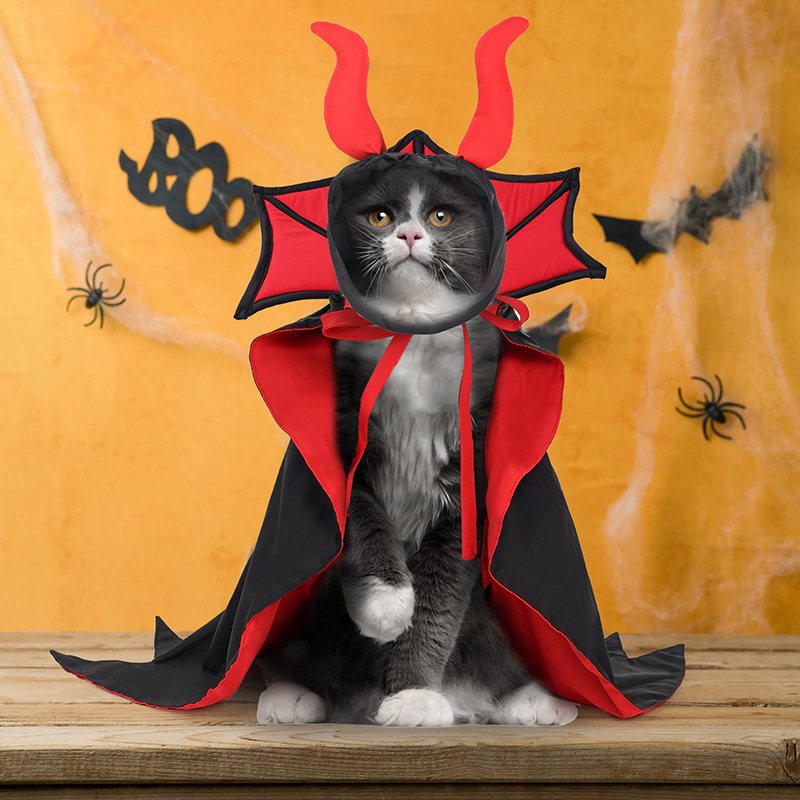 Black pet vampire cloak and hat Halloween set
