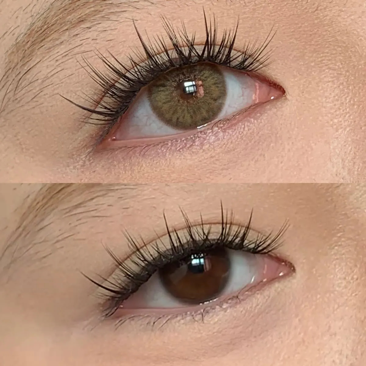 MYEYEBB Petite Iris Brown Prescription Colored Contact Lenses
