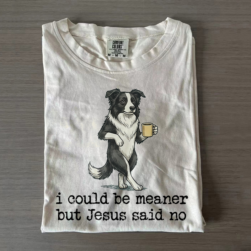 I Could Be Meaner But Jesus Said No Border Collie T-shirt