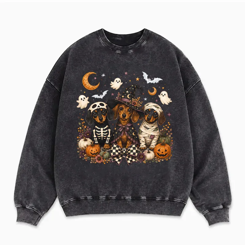 Halloween Dachshund Sweatshirt