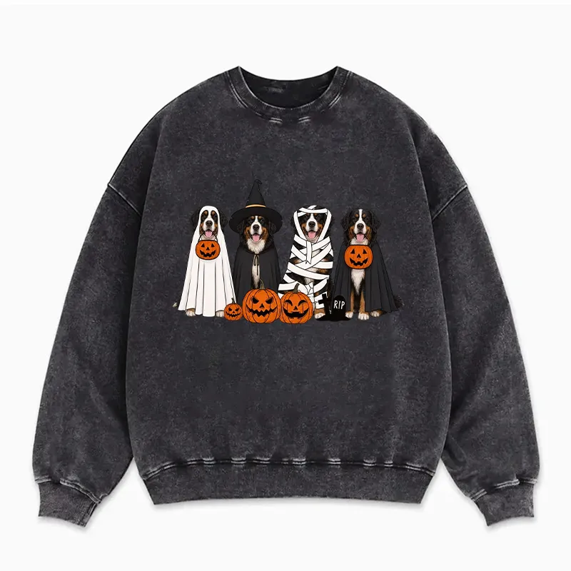 Halloween Bernese Mountain Dog Sweatshirt