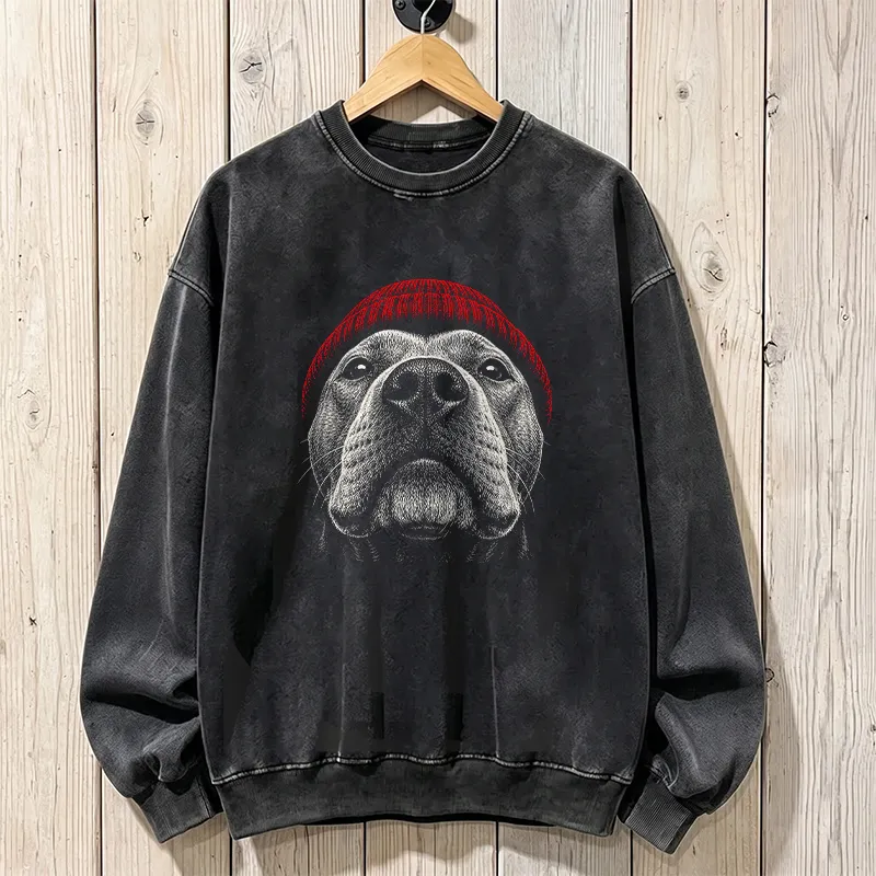 Pit Bull Beanie Sweatshirt