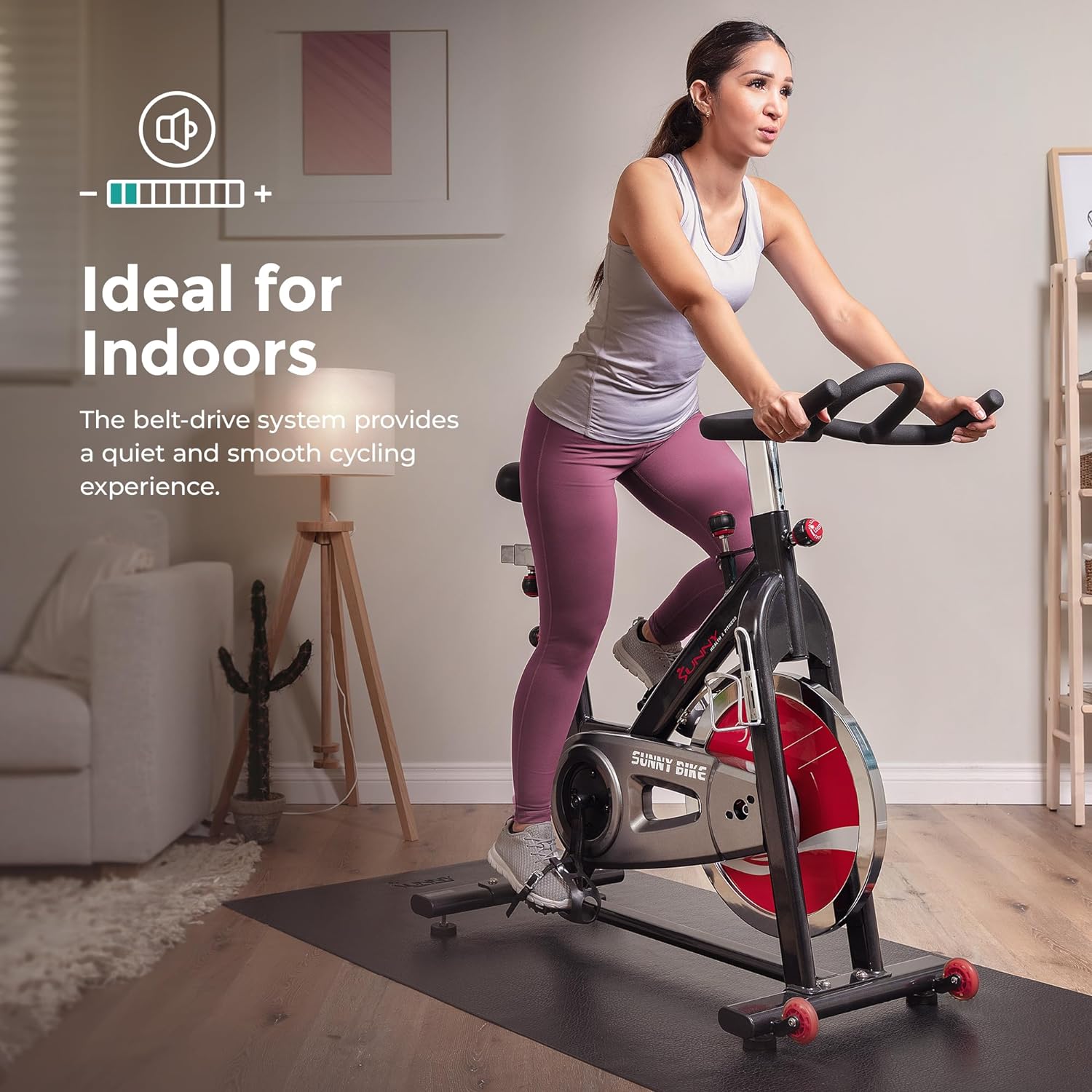 Sunny Health & Fitness AerPro Ciclismo Indoor
