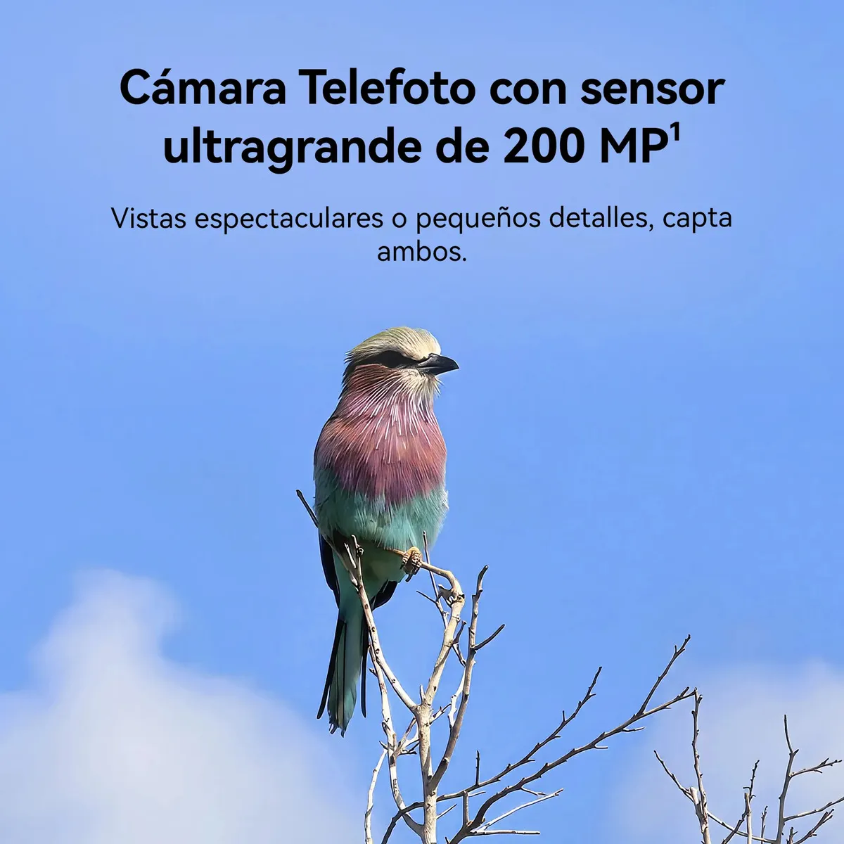 HUAWEI Pura 90s Pro 12GB 512GB Naranja con FreeBuds Pro 5 Gratis