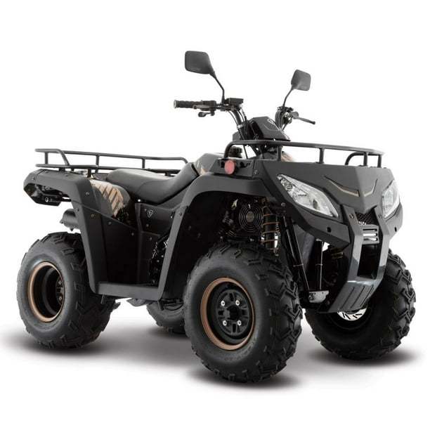 Cuatrimoto Italika ATV250 Negra 2025