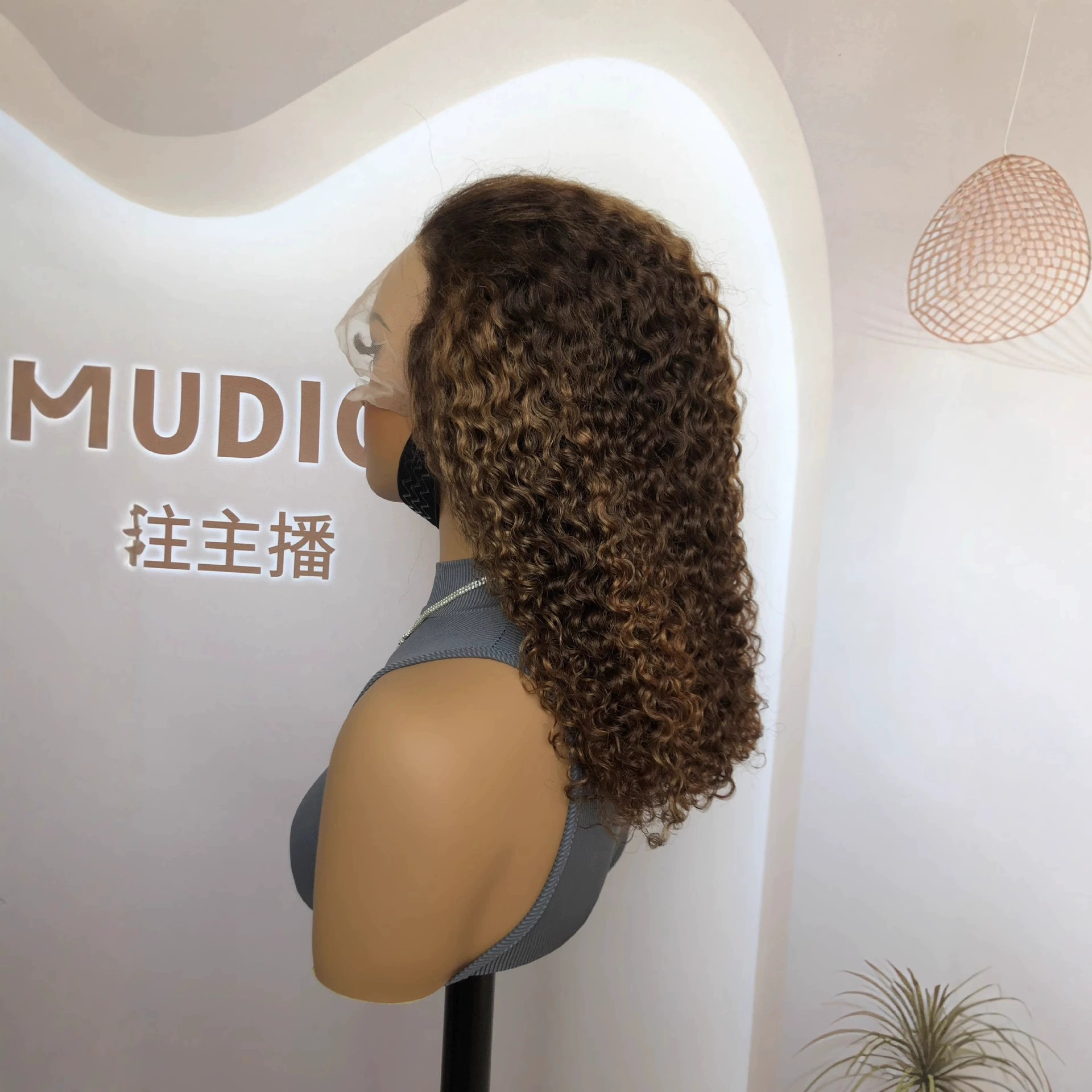 Jerry Curly Curl Remy Human Hair 13x4 Lace Front Wig Highlight Color WIGLTD