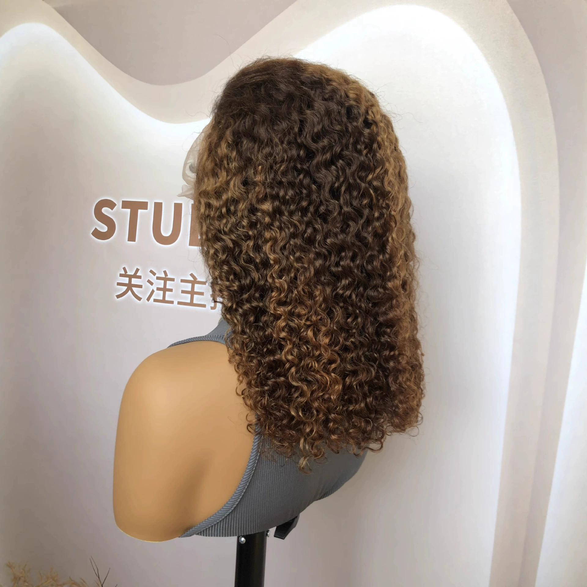 Jerry Curly Curl Remy Human Hair 13x4 Lace Front Wig Highlight Color WIGLTD