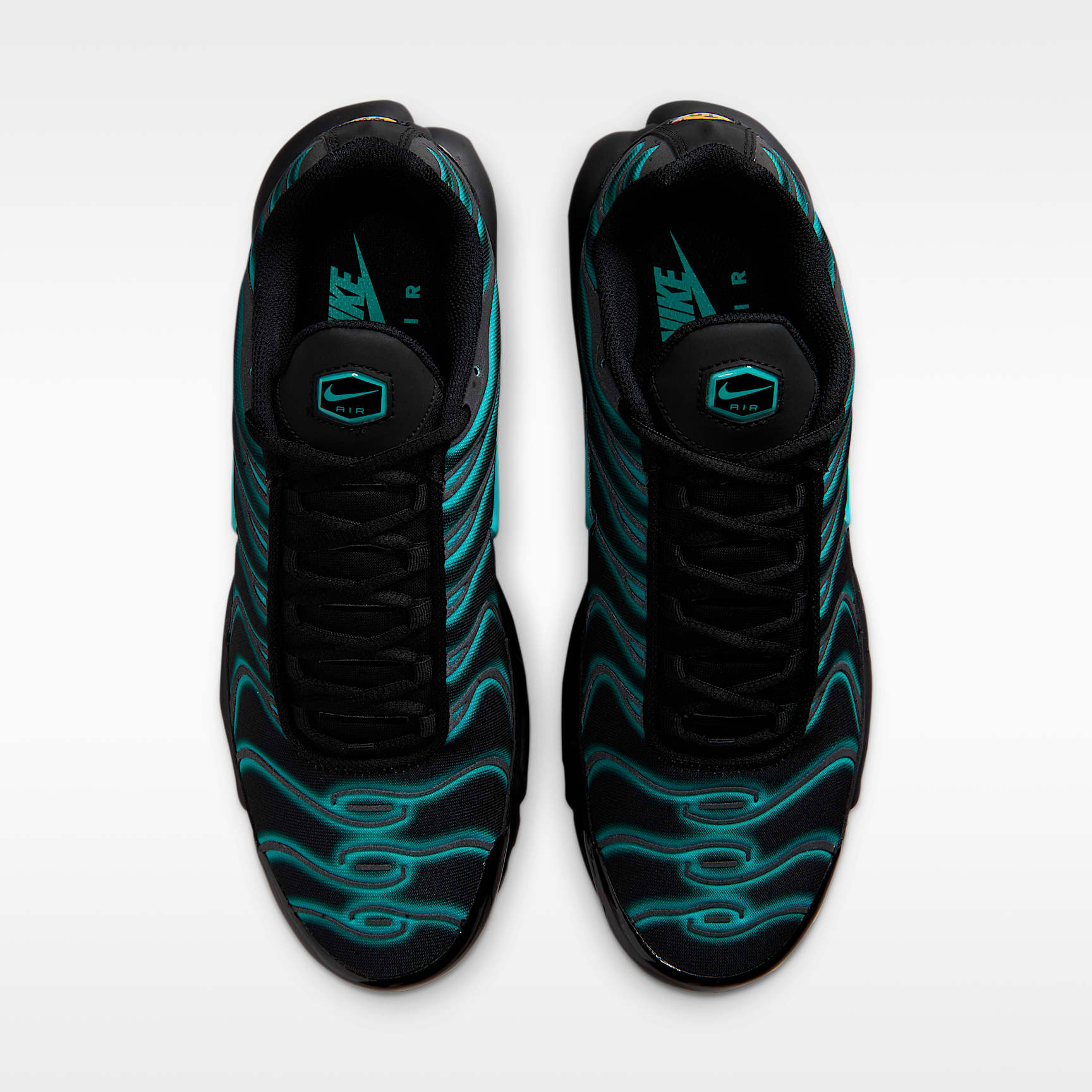 Nike Air Max Plus Schuh (Herren) – Schwarz/Dusty Cactus