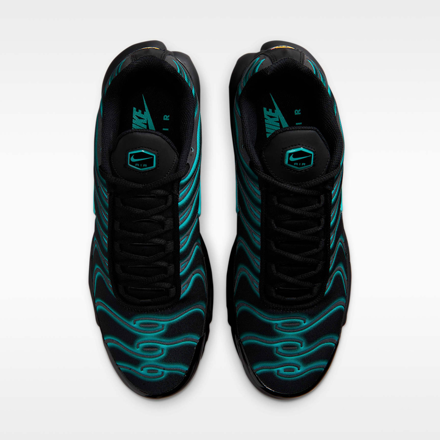 Nike Air Max Plus Schuh (Herren) – Schwarz/Dusty Cactus