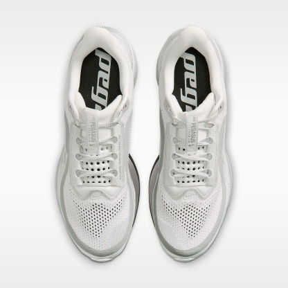 Nike Pegasus Premium Straßenlaufschuh (Herren) – Photon Dust/Schwarz/Metallic Silver