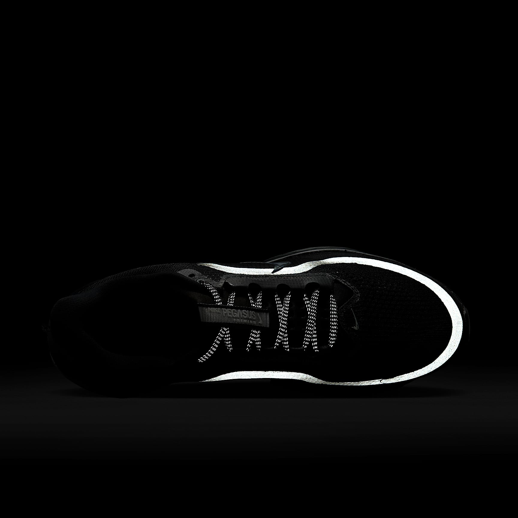 Nike Pegasus Premium Straßenlaufschuh (Herren) – Schwarz/Metallic Silver/Schwarz