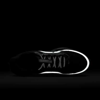 Nike Pegasus Premium Straßenlaufschuh (Herren) – Schwarz/Metallic Silver/Schwarz