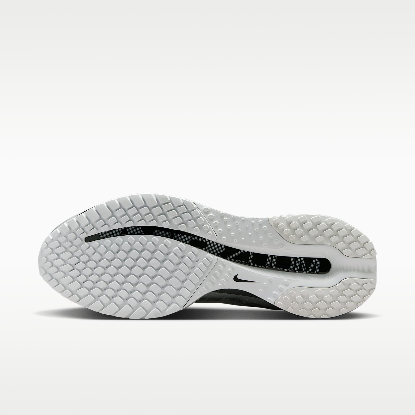 Nike Pegasus Premium Straßenlaufschuh (Herren) – Photon Dust/Schwarz/Metallic Silver