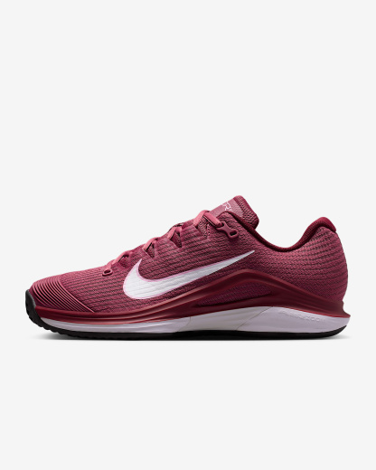 Nike Vapor 12 Tennisschuh für Clay Courts (Damen) – Pink Smoke/Vast Grey/Schwarz/Weiß