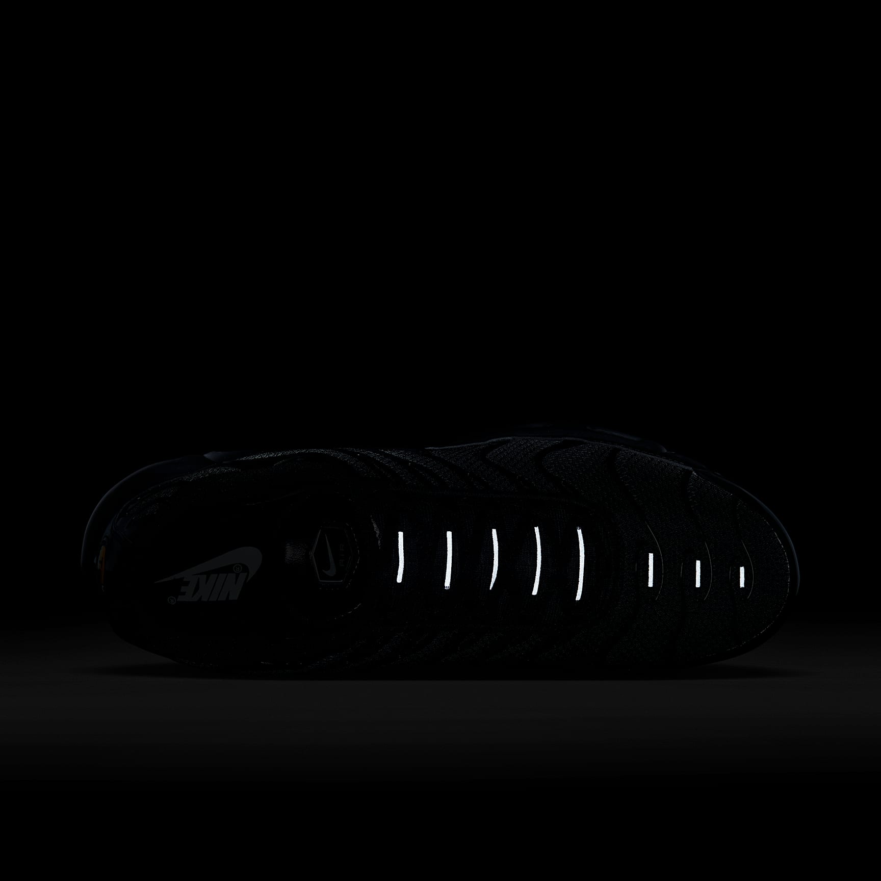 Nike Air Max Plus Herrenschuh – Schwarz/Schwarz/Schwarz