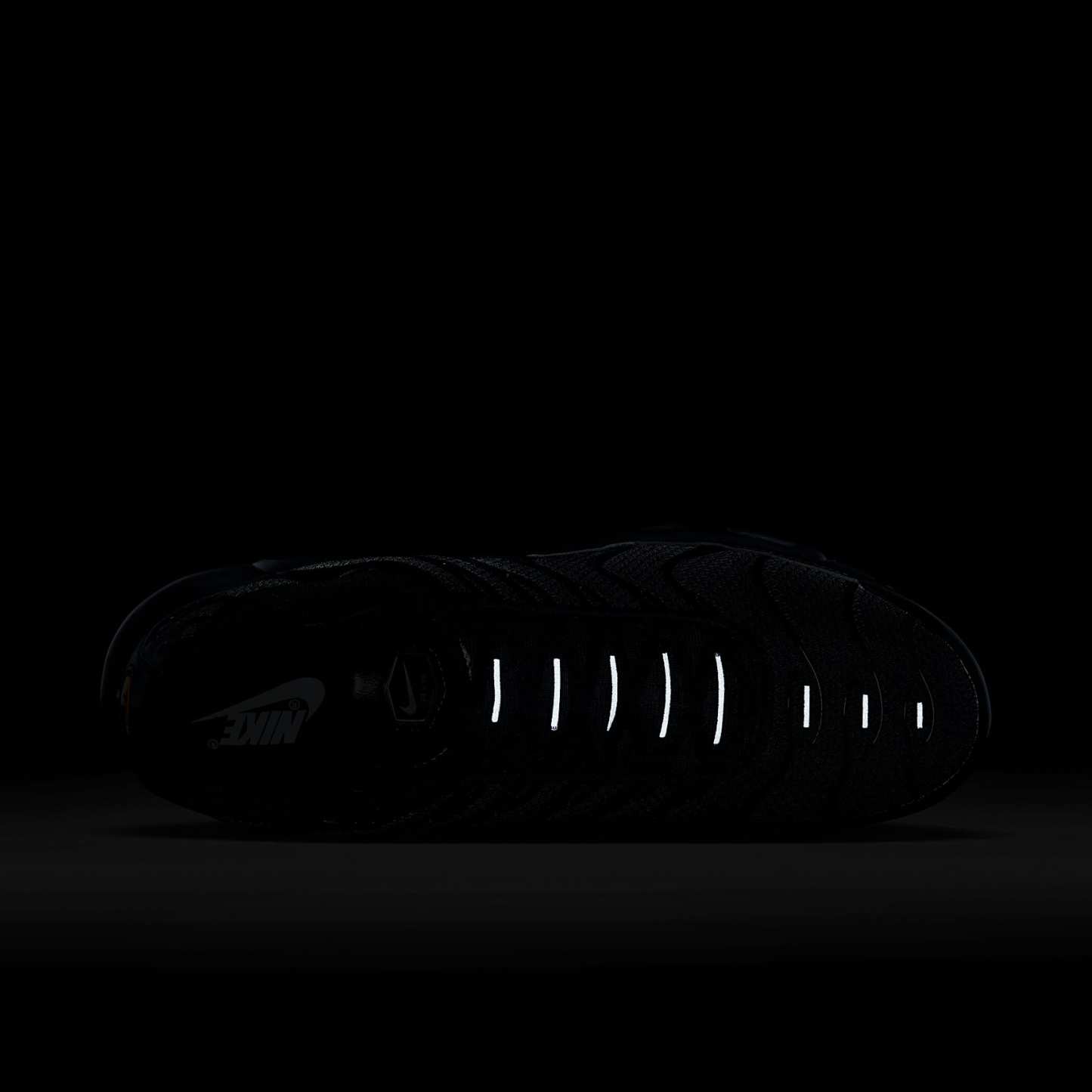 Nike Air Max Plus Herrenschuh – Schwarz/Schwarz/Schwarz