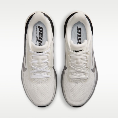 Nike Pegasus 42 Straßenlaufschuh (Damen) – Summit White/Sail/Schwarz/Metallic Silver