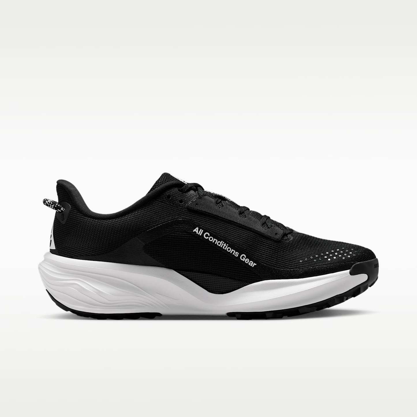 Nike ACG Pegasus Trail Traillaufschuh (Herren) – Schwarz/Anthracite/Summit White