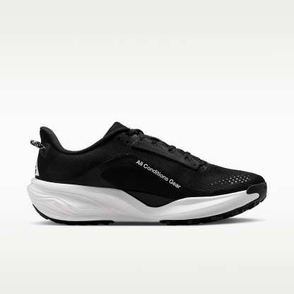 Nike ACG Pegasus Trail Traillaufschuh (Herren) – Schwarz/Anthracite/Summit White
