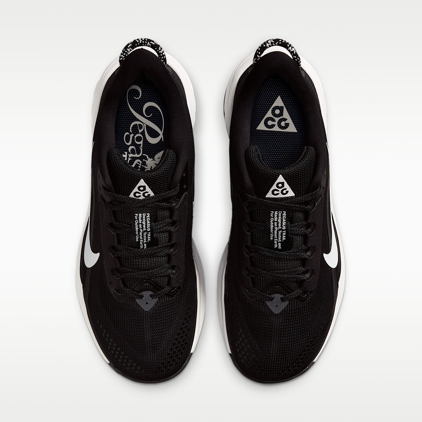 Nike ACG Pegasus Trail Traillaufschuh (Damen) – Schwarz/Anthracite/Summit White