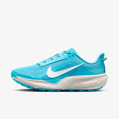 Nike ACG Pegasus Trail Traillaufschuh (Herren) – Baltic Blue/Light Orewood Brown/Ironstone/Summit White