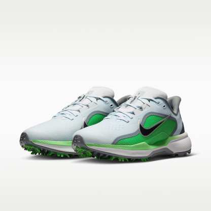 Nike Pegasus 1 G Golfschuh – Football Grey/Illusion Green/Schwarz