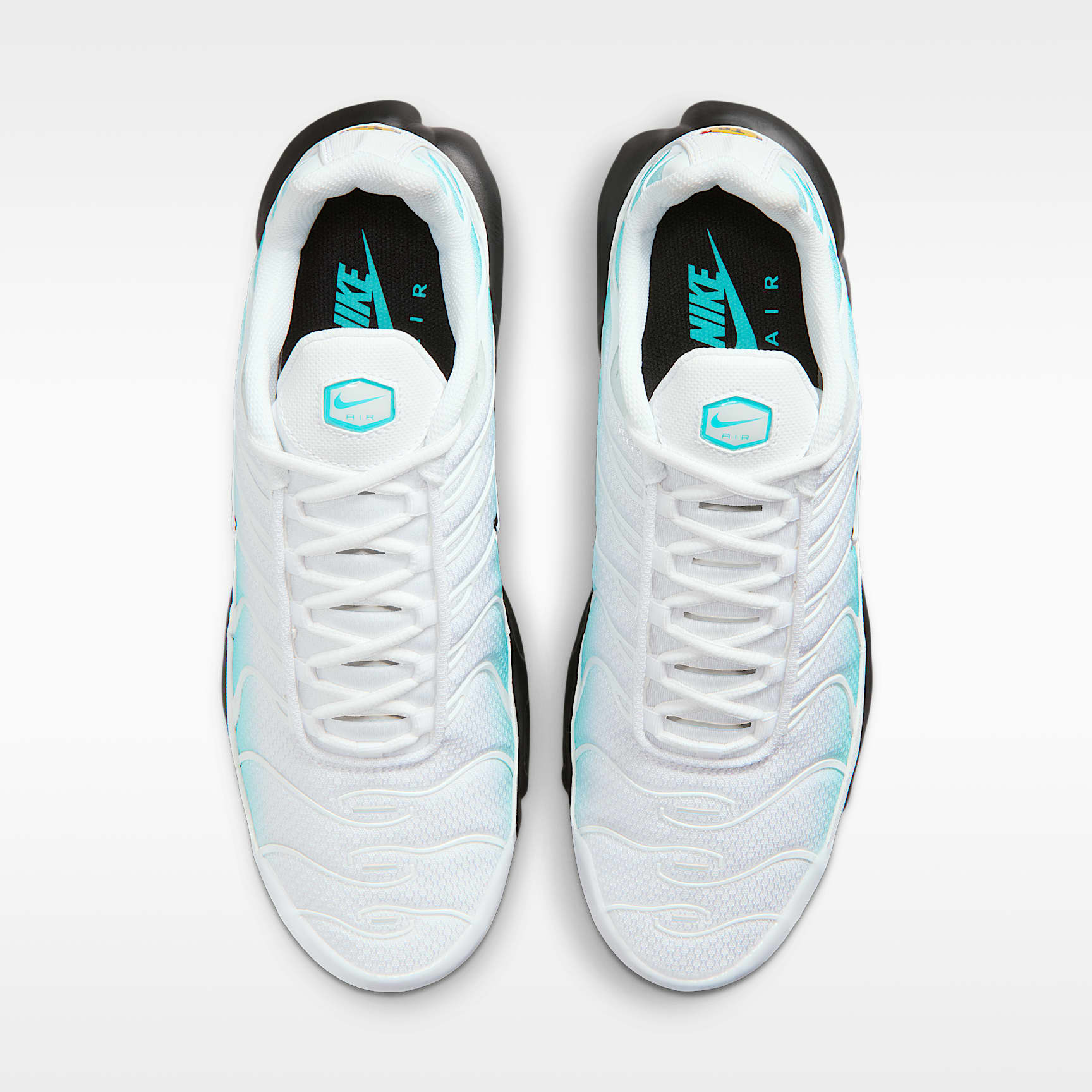 Nike Air Max Plus Schuh (Herren) – Dusty Cactus/Schwarz/Weiß