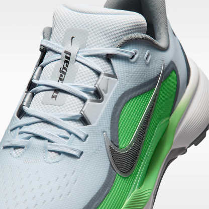 Nike Pegasus 1 G Golfschuh – Football Grey/Illusion Green/Schwarz
