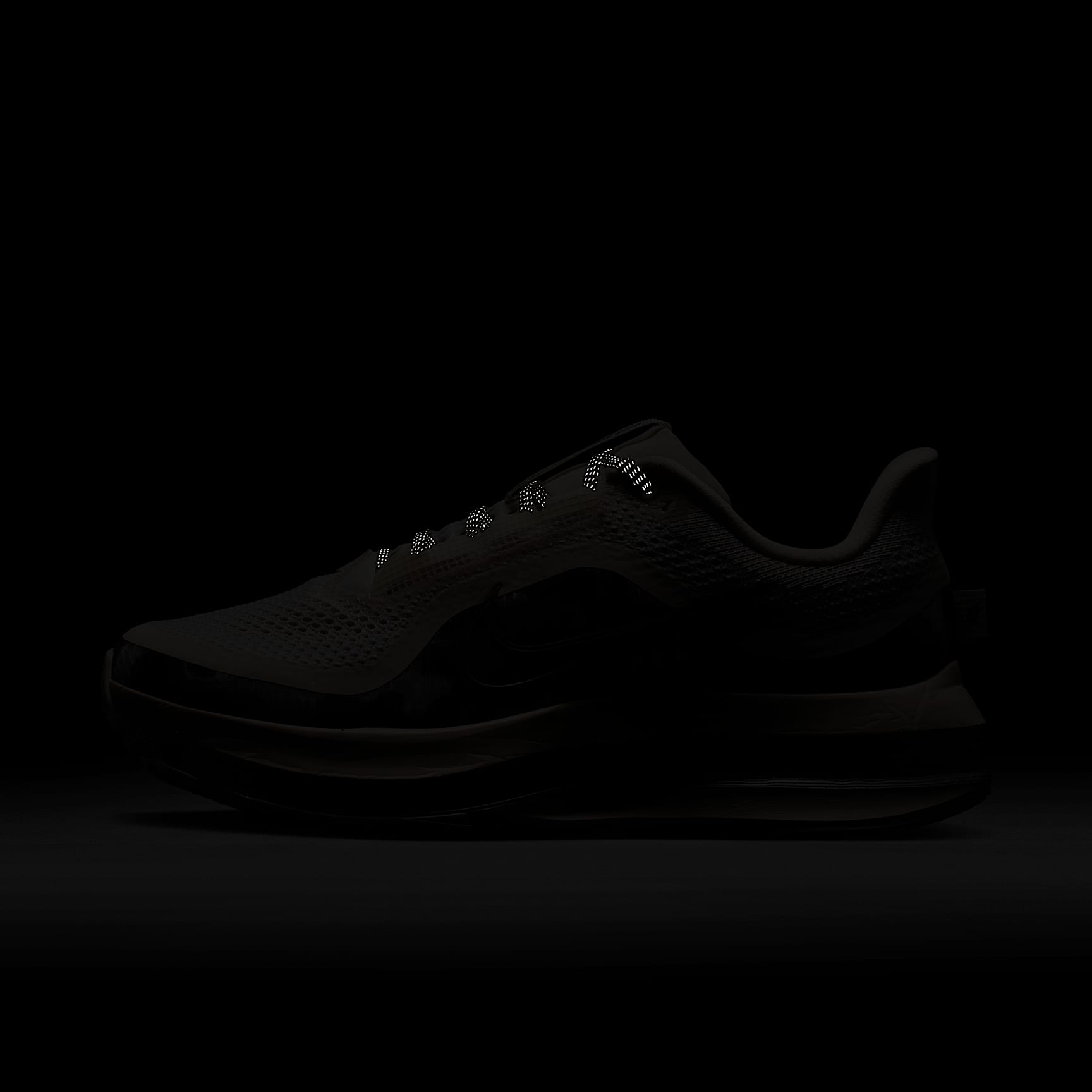 Nike Pegasus Premium SE Straßenlaufschuh (Damen) – Phantom/Anthracite/Metallic Silver/Pencil Point