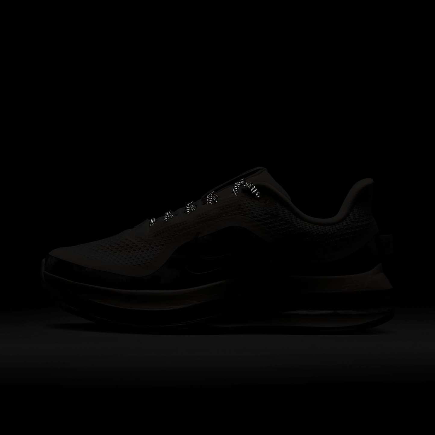 Nike Pegasus Premium SE Straßenlaufschuh (Damen) – Phantom/Anthracite/Metallic Silver/Pencil Point