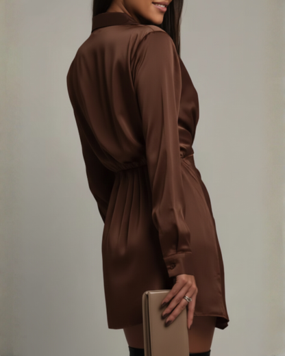 Women's Cocktail Long Sleeve Wrap Mini Dress