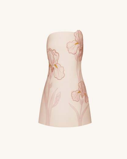 Ninon Strapless Mini Dress - Blush Floral