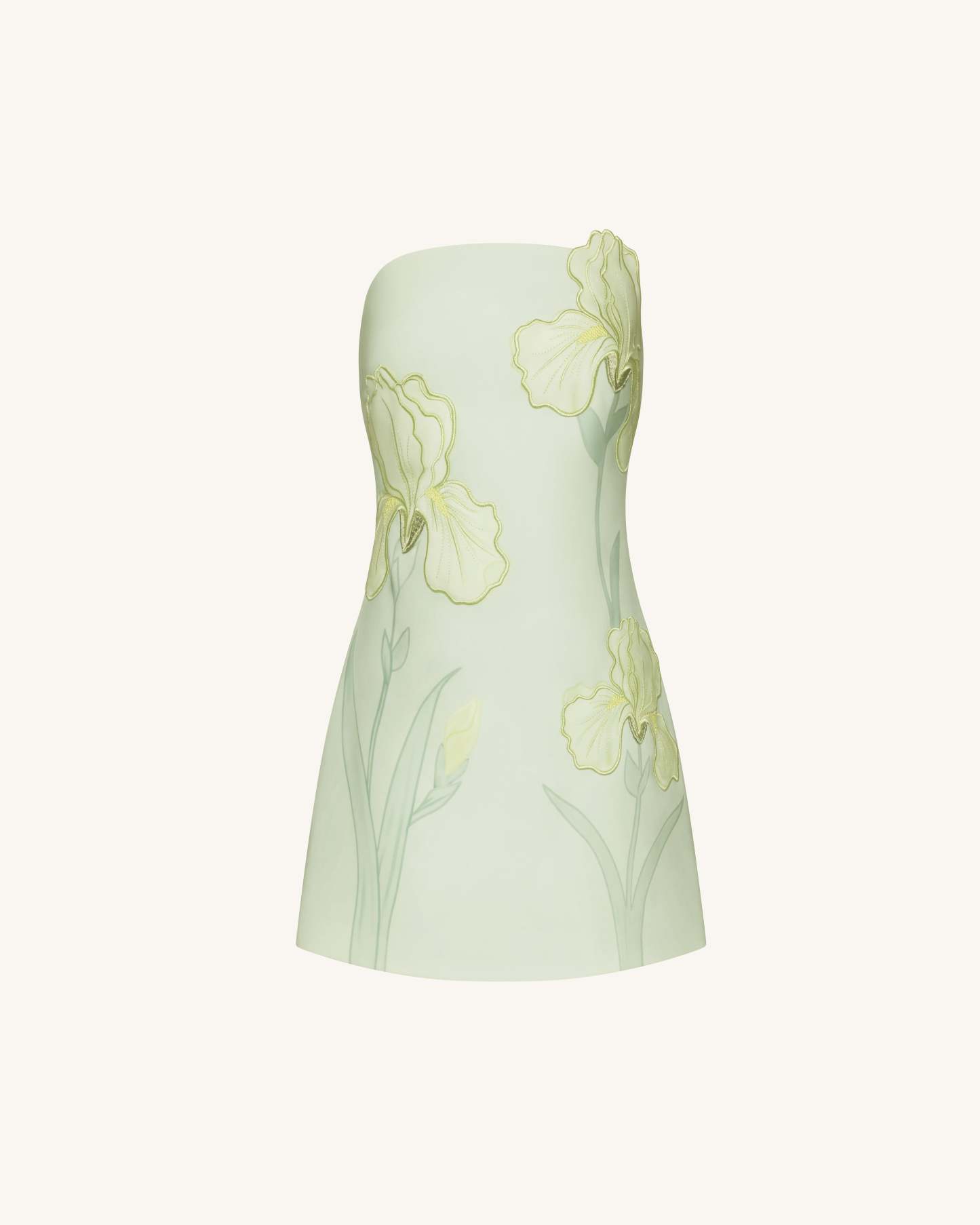 Ninon Strapless Mini Dress - Mint Floral