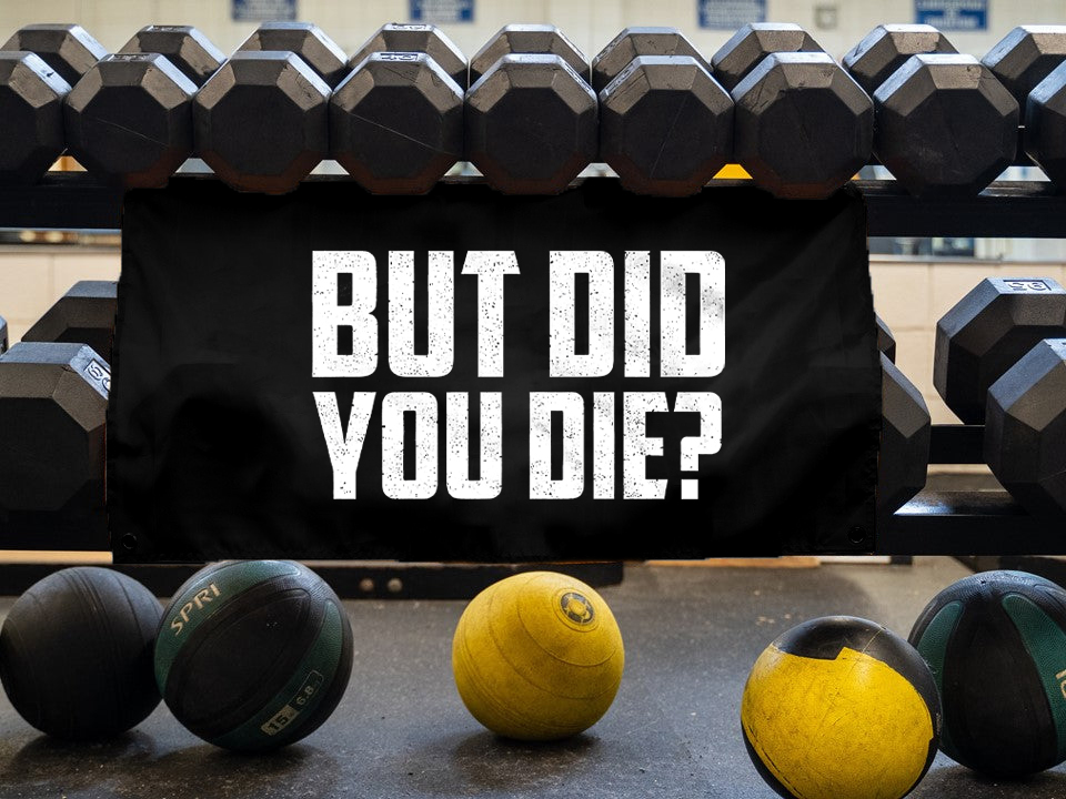 But Did You Die? Print Flags-traneing