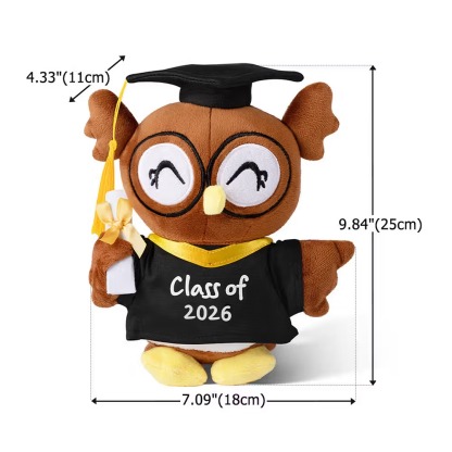 Personalised Graduation Owl Plush Toy with Custom Name and Year, Cap and Gown Keepsake Gift for Graduates