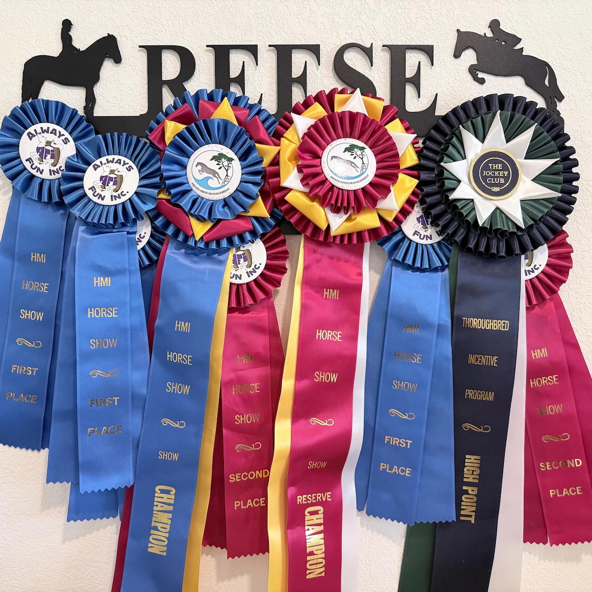 Personalized Horse Show Medal Hanger, Custom Name Equestrian Rosette Display, Wall Mounted Ribbon Organizer for Riders, Horse Lover Gift