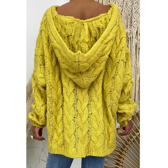 Pure Color Twist Knit Hooded Sweater