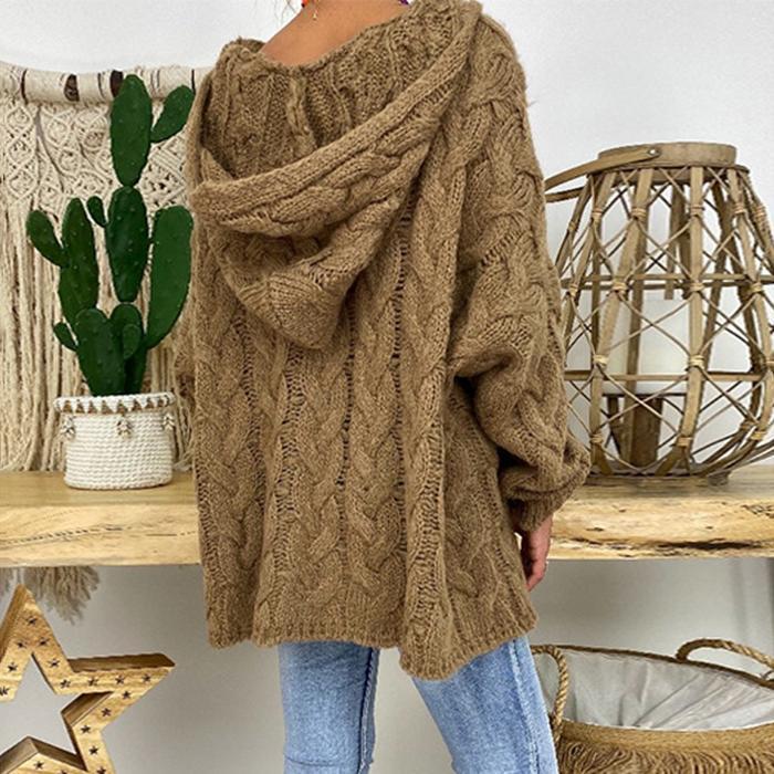 Pure Color Twist Knit Hooded Sweater