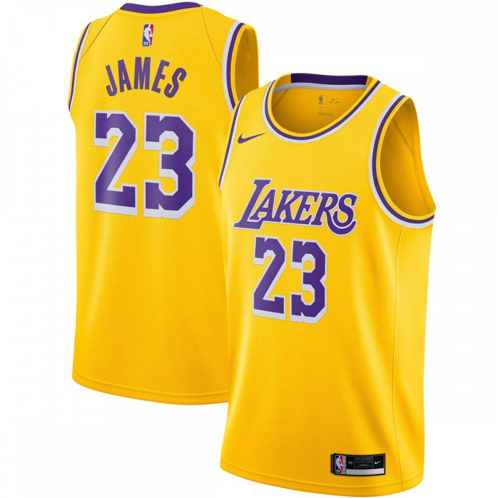 Youth Los Angeles Lakers Gold Edition Icon Swingman Basketball Jersey – LeBron James