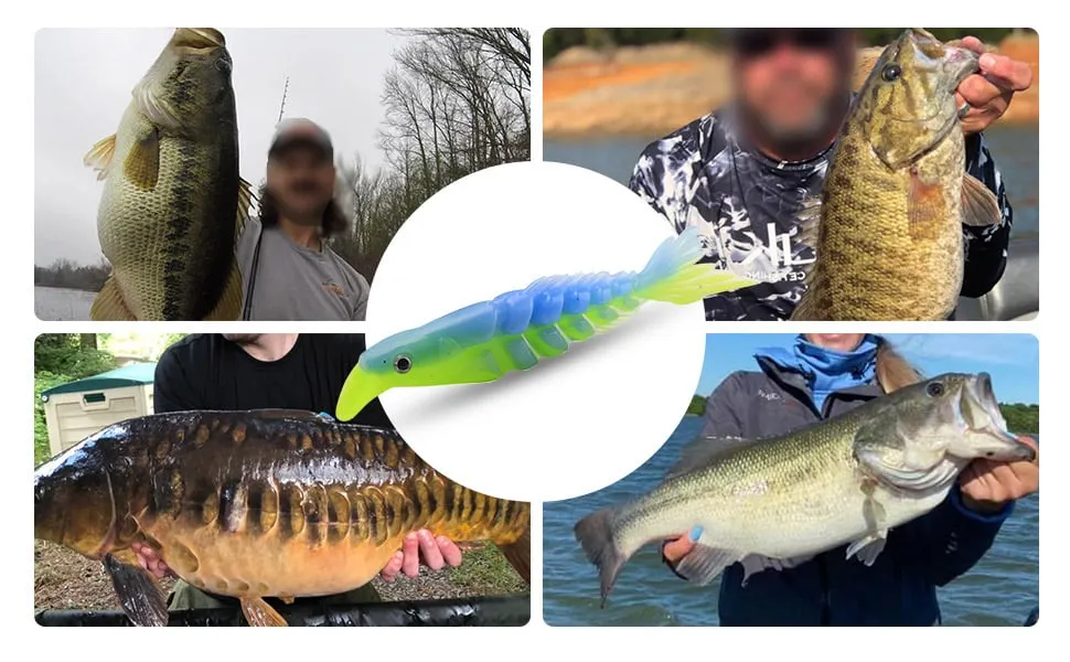 soft lures