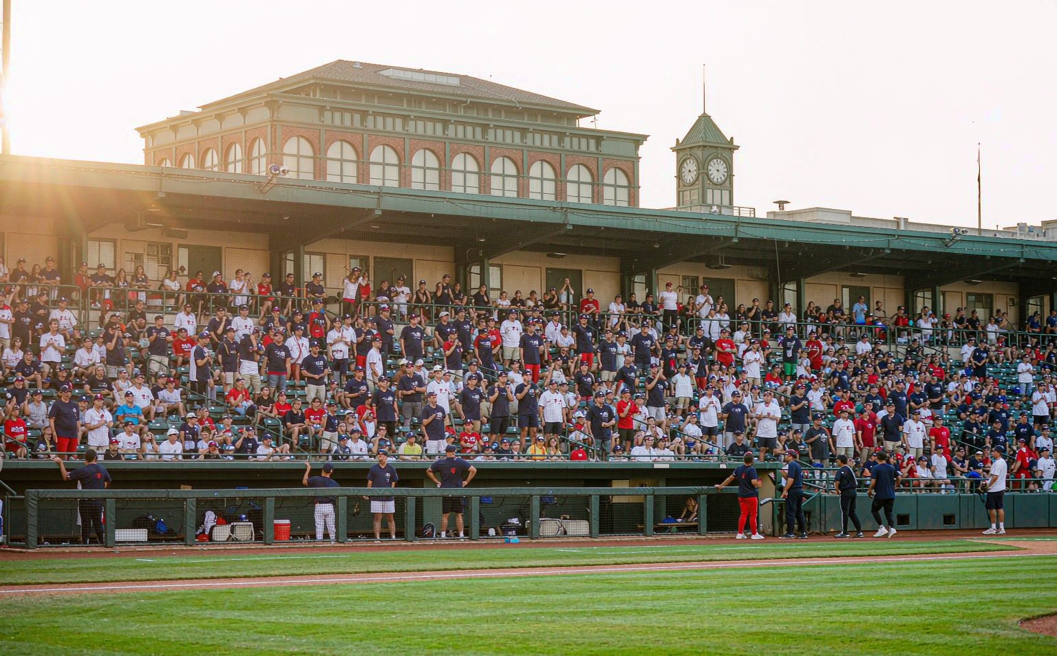 Sun-drenched baseball stadium bleachers with fans in plain pinstripe and team-color jerseys