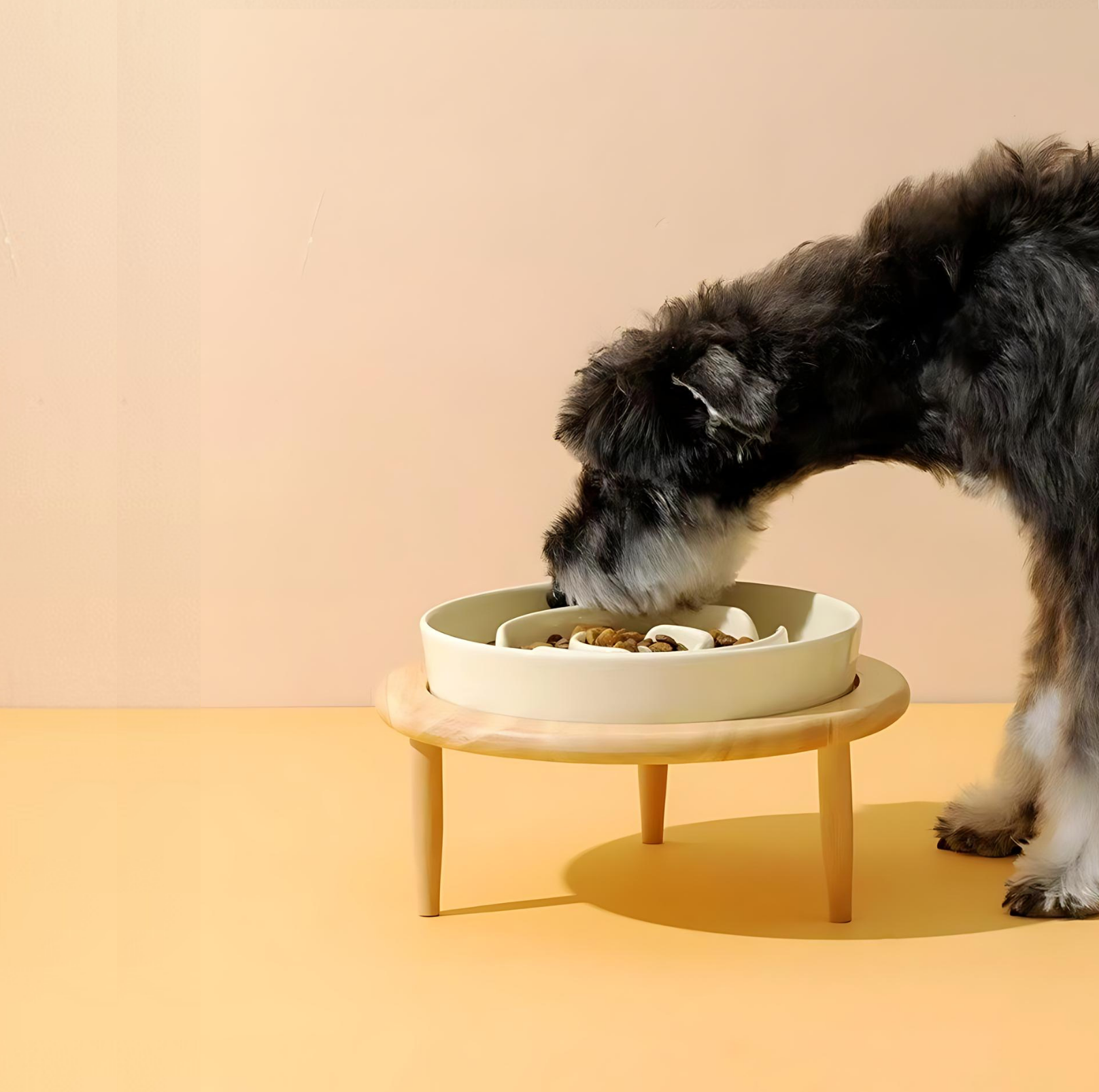 Ceramic Slow Feeder Pet Bowl