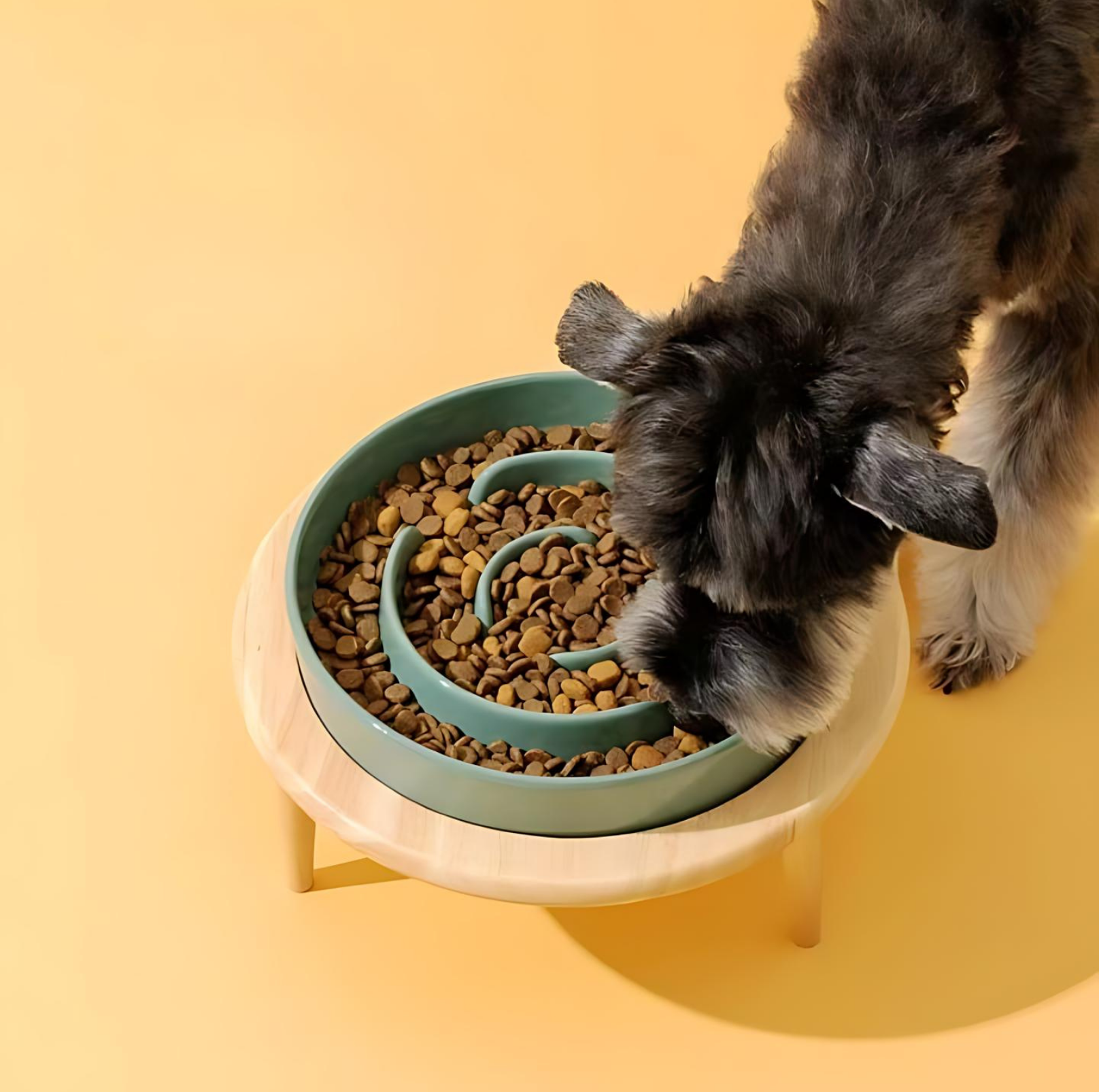 Ceramic Slow Feeder Pet Bowl