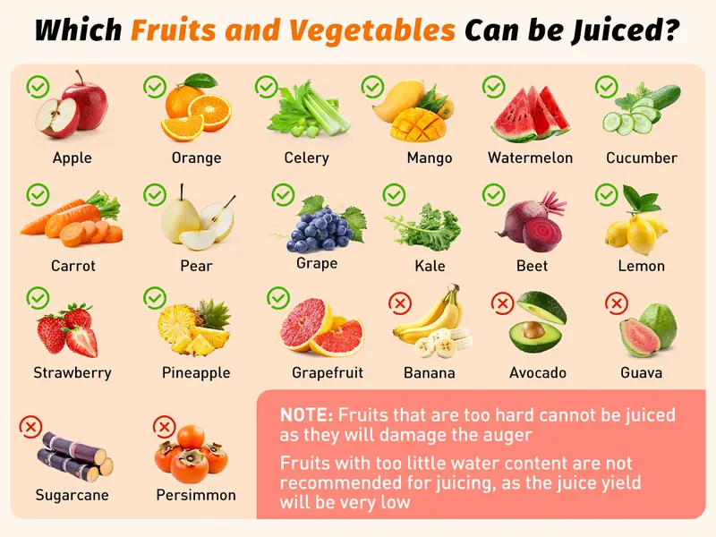 Cold press juicer feature 5